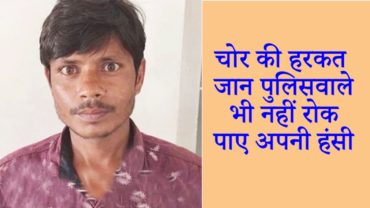 चोरे करने घर में घुसा था चोर, लग्जरी सोफा देख आराम करने बैठ गया लेकिन आ गई नींद और... चोरे करने घर में घुसा था चोर, लग्जरी सोफा देख आराम करने बैठ गया लेकिन आ गई नींद और...