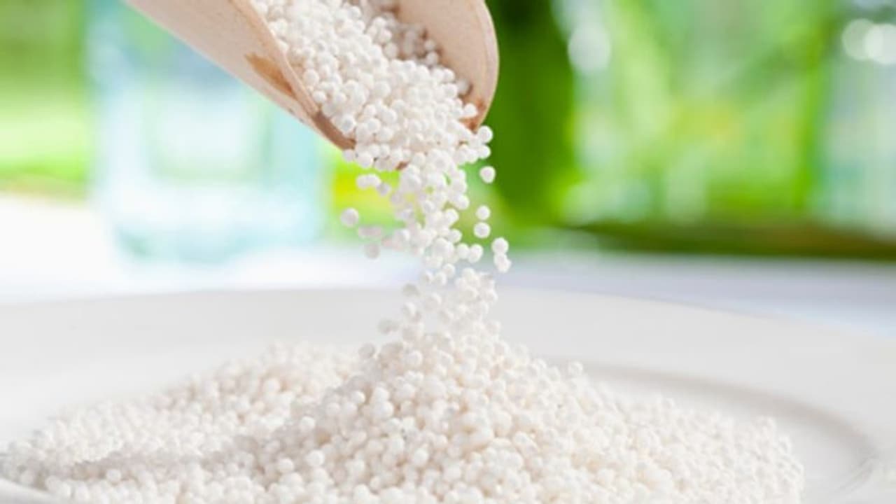 সাবুতে থাকা রেজিসটেন্স স্টার্চ, অন্ত্রে থাকা উপকারী ব্য়াকটেরিয়াকে চাঙ্গা রাখে সাবুতে থাকা রেজিসটেন্স স্টার্চ, অন্ত্রে থাকা উপকারী ব্য়াকটেরিয়াকে চাঙ্গা রাখে