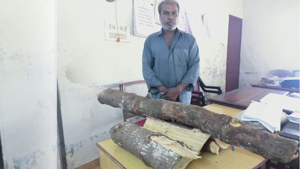 സ്കൂട്ടറില്‍ ചന്ദനത്തടി കടത്താന്‍ ശ്രമം; അന്തർ സംസ്ഥാന മോഷ്ടാവ് പിടിയില്‍, കൂട്ടാളി ഓടി രക്ഷപ്പെട്ടു