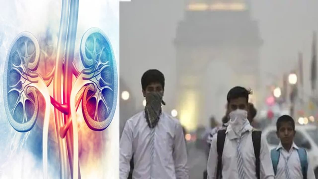 Delhi breathes poison! Could air pollution be silent contributor to chronic kidney disease? What experts say Delhi breathes poison! Could air pollution be silent contributor to chronic kidney disease? What experts say