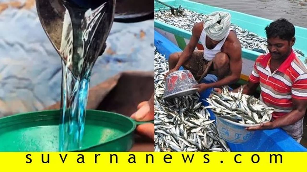 ಮೀನುಗಾರರಿಗೆ ಬಂಪರ್: ಸೀಮೆ ಎಣ್ಣೆ ವಿತರಣೆಯಲ್ಲಿ ಹೆಚ್ಚಳ.?