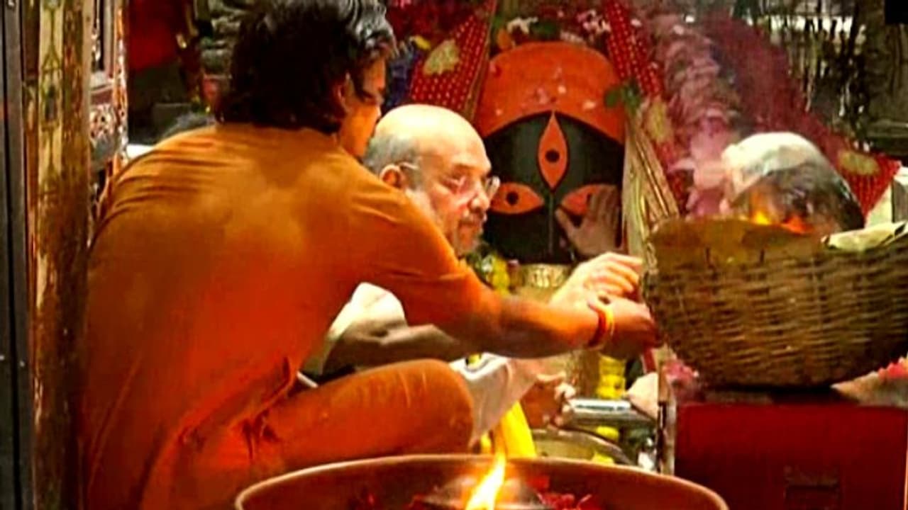 তুলসী নিম দিয়ে চলছে স্যানিটেশন, বুধে খুলছে কালীঘাট মন্দির