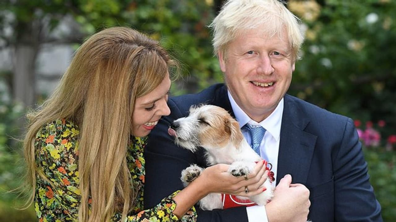 ബോറിസ് ജോണ്സന്റെ ഗര്ഭിണിയായ കാമുകിക്കും കൊവിഡ് ലക്ഷണങ്ങള്; ആരോഗ്യം വീണ്ടെടുത്തുവെന്ന് ക്യാരി സിമണ്ട്സ് ബോറിസ് ജോണ്സന്റെ ഗര്ഭിണിയായ കാമുകിക്കും കൊവിഡ് ലക്ഷണങ്ങള്; ആരോഗ്യം വീണ്ടെടുത്തുവെന്ന് ക്യാരി സിമണ്ട്സ്