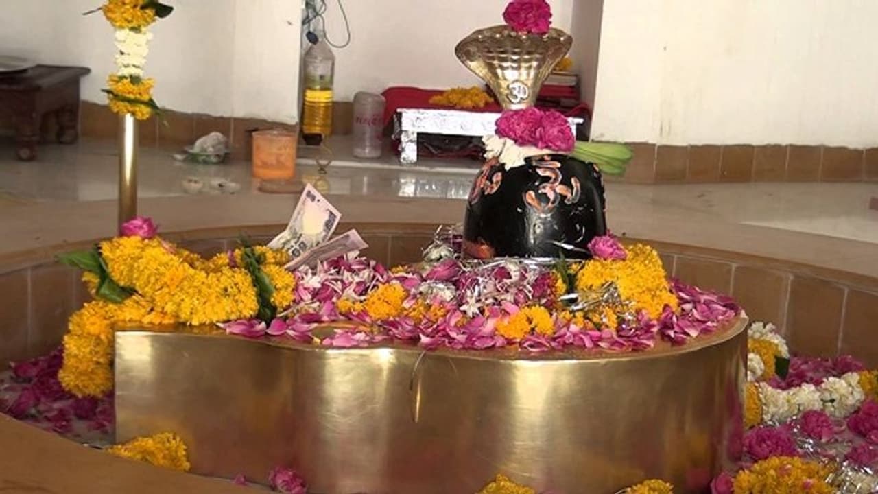 ಬಾಗಲಕೋಟೆ: ಕೃಷ್ಣನ ಒಡಲು ಕ್ಷೀಣ; ದರ್ಶನ ನೀಡಿದ ಈಶ್ವರ..!