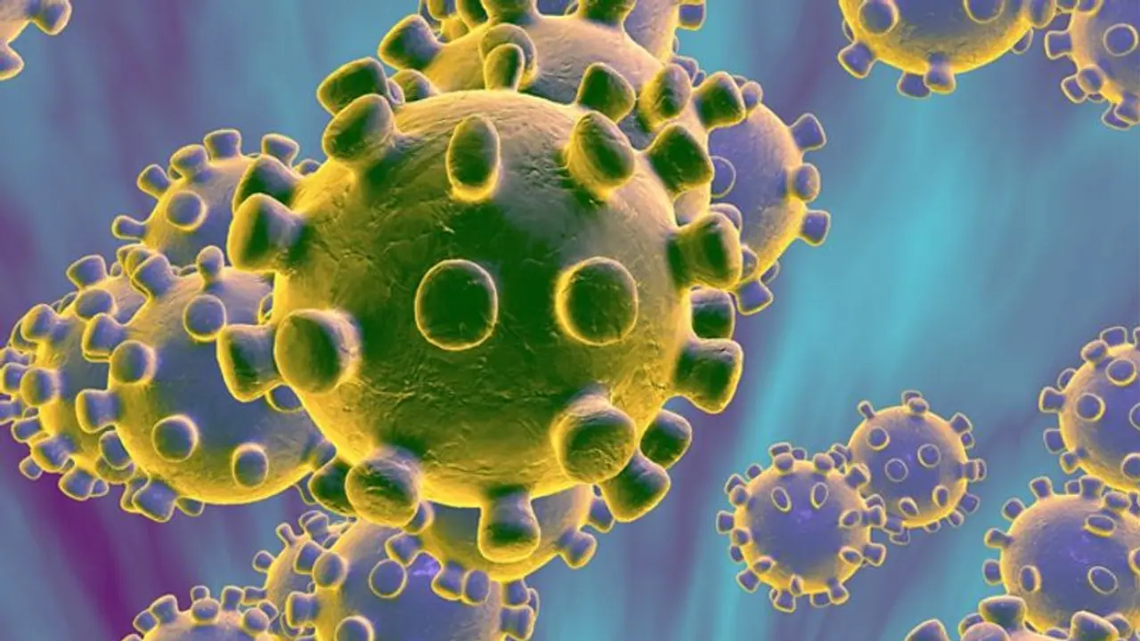 கொரோனா வைரஸால் இழப்பு... அரசு ஊழியர்களின் சம்பளம் குறைப்பு... முதல்வர் அதிரடி அறிவிப்பு! கொரோனா வைரஸால் இழப்பு... அரசு ஊழியர்களின் சம்பளம் குறைப்பு... முதல்வர் அதிரடி அறிவிப்பு!