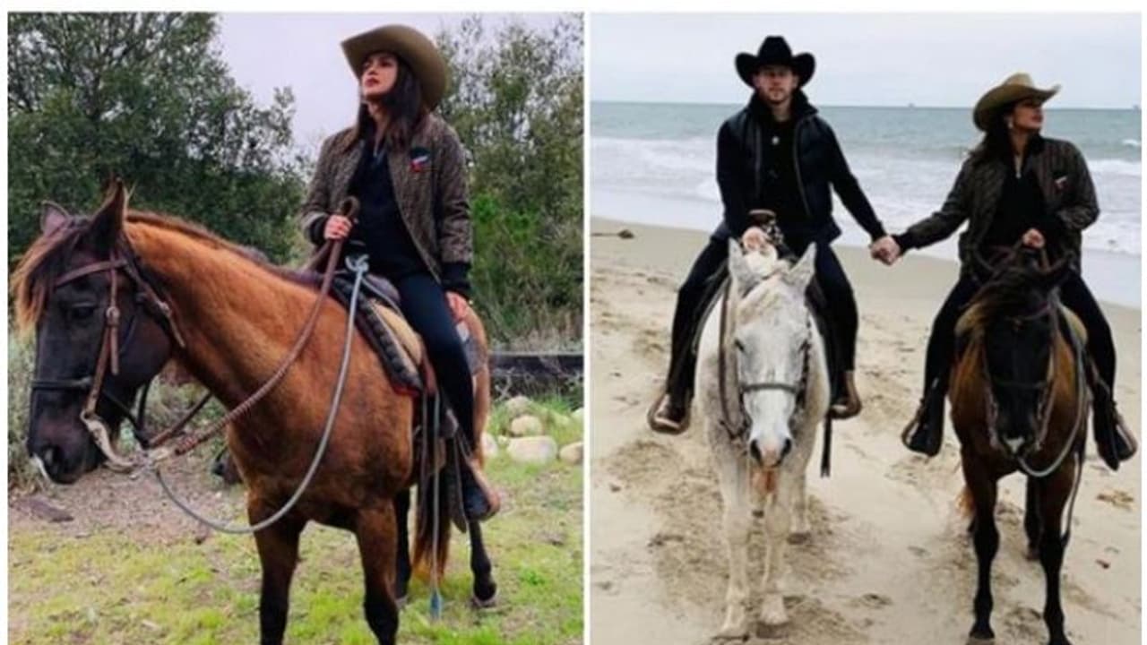 മാജിക്കെന്ന് പ്രിയങ്ക ചോപ്ര, കുതിര സവാരി ചെയ്യുന്ന ഫോട്ടോ ഷെയര് ചെയ്തും താരം മാജിക്കെന്ന് പ്രിയങ്ക ചോപ്ര, കുതിര സവാരി ചെയ്യുന്ന ഫോട്ടോ ഷെയര് ചെയ്തും താരം