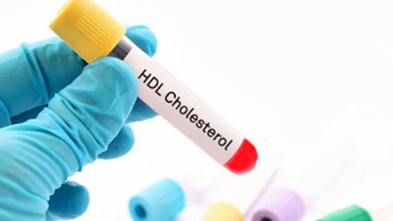 ഈ ഭക്ഷണങ്ങൾ കഴിച്ചാൽ നല്ല കൊളസ്ട്രോൾ കൂട്ടാം ഈ ഭക്ഷണങ്ങൾ കഴിച്ചാൽ നല്ല കൊളസ്ട്രോൾ കൂട്ടാം