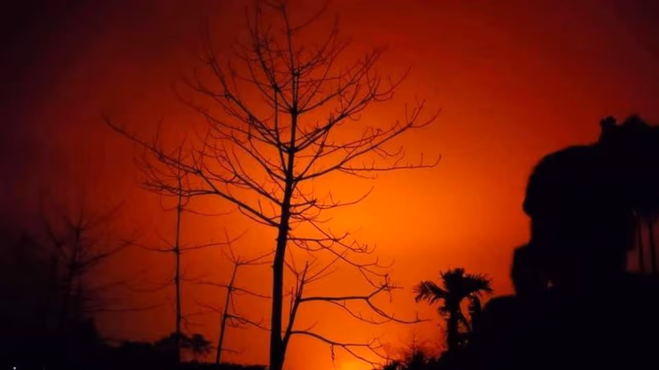 জলদাপাড়া অভয়ারণ্যে ভয়াবহ দাবানল, ভষ্মীভূত 'তোর্সার ঘাসবন'