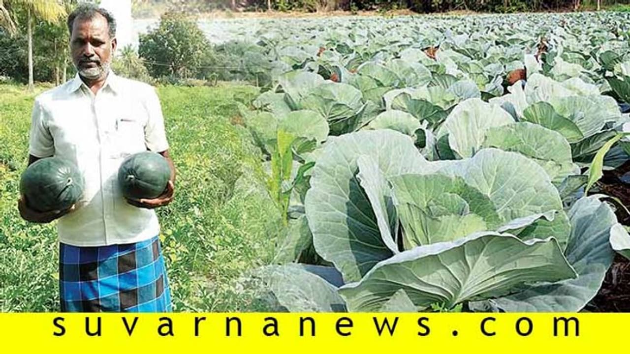 6 ಎಕರೆ ಜಮೀನಿನಲ್ಲಿ ಕಲ್ಲಂಗಡಿ ಕರಬೂಜ ಬೆಳೆದು ಶ್ರೀಮಂತನಾದ ಕೋಟೆ ನಾಡಿನ ರೈತ!