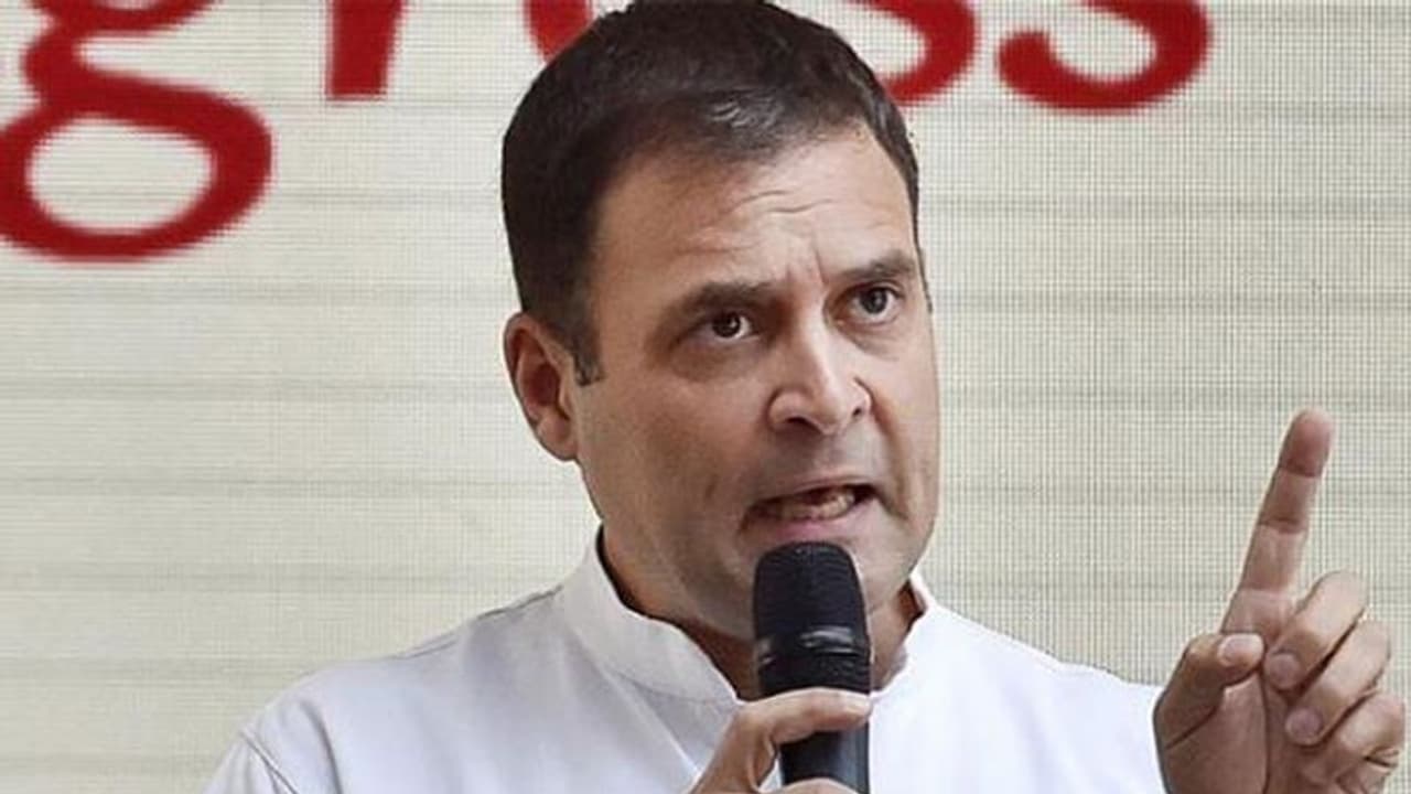 Nowhere to be seen during Delhi riots, Rahul Gandhi takes up ‘riot tourism’ now: Is it just PR exercise?