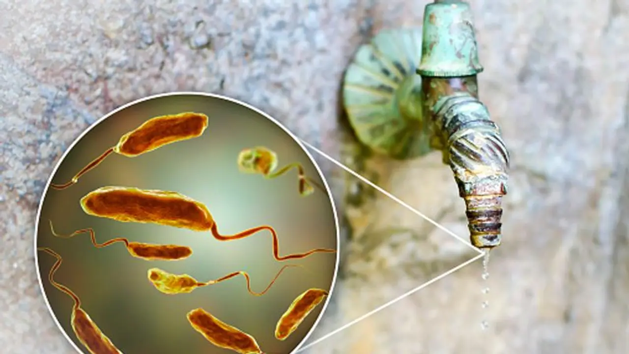 ಬೆಂಗ್ಳೂರಲ್ಲಿ ಕಾಲರಾ ರೋಗ ಪತ್ತೆ? ಬೆಂಗ್ಳೂರಲ್ಲಿ ಕಾಲರಾ ರೋಗ ಪತ್ತೆ?