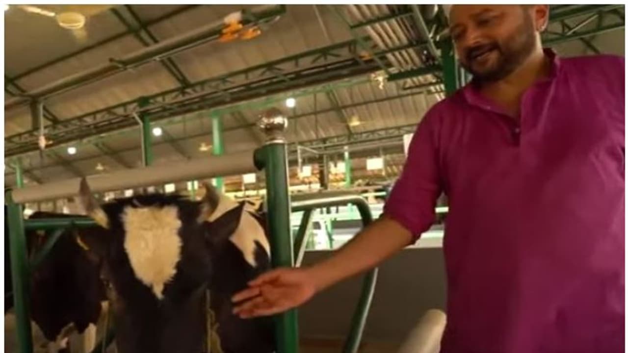 പശുക്കളെ പരിപാലിച്ച് ജയറാം, വീഡിയോ എടുത്ത് കാളിദാസ് ജയറാം