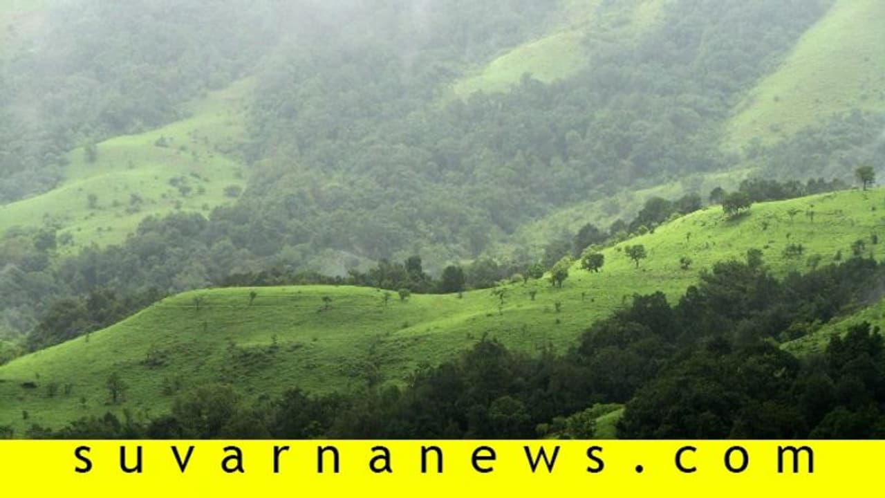 ರಾಜ್ಯದಲ್ಲಿ 30 ಲಕ್ಷಕ್ಕೂ ಹೆಚ್ಚು ಮರ ಹನನಕ್ಕೆ ಸಿದ್ಧತೆ!