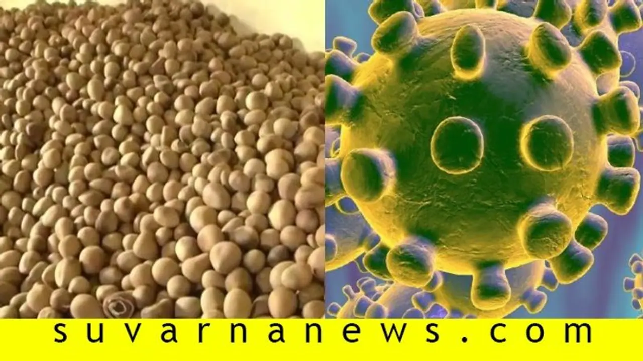 ಕೊರೋನಾ ಎಫೆಕ್ಟ್, ಕೊಬ್ಬರಿ ಬೆಲೆಯಲ್ಲಿ ಭಾರೀ ಇಳಿಕೆ..!