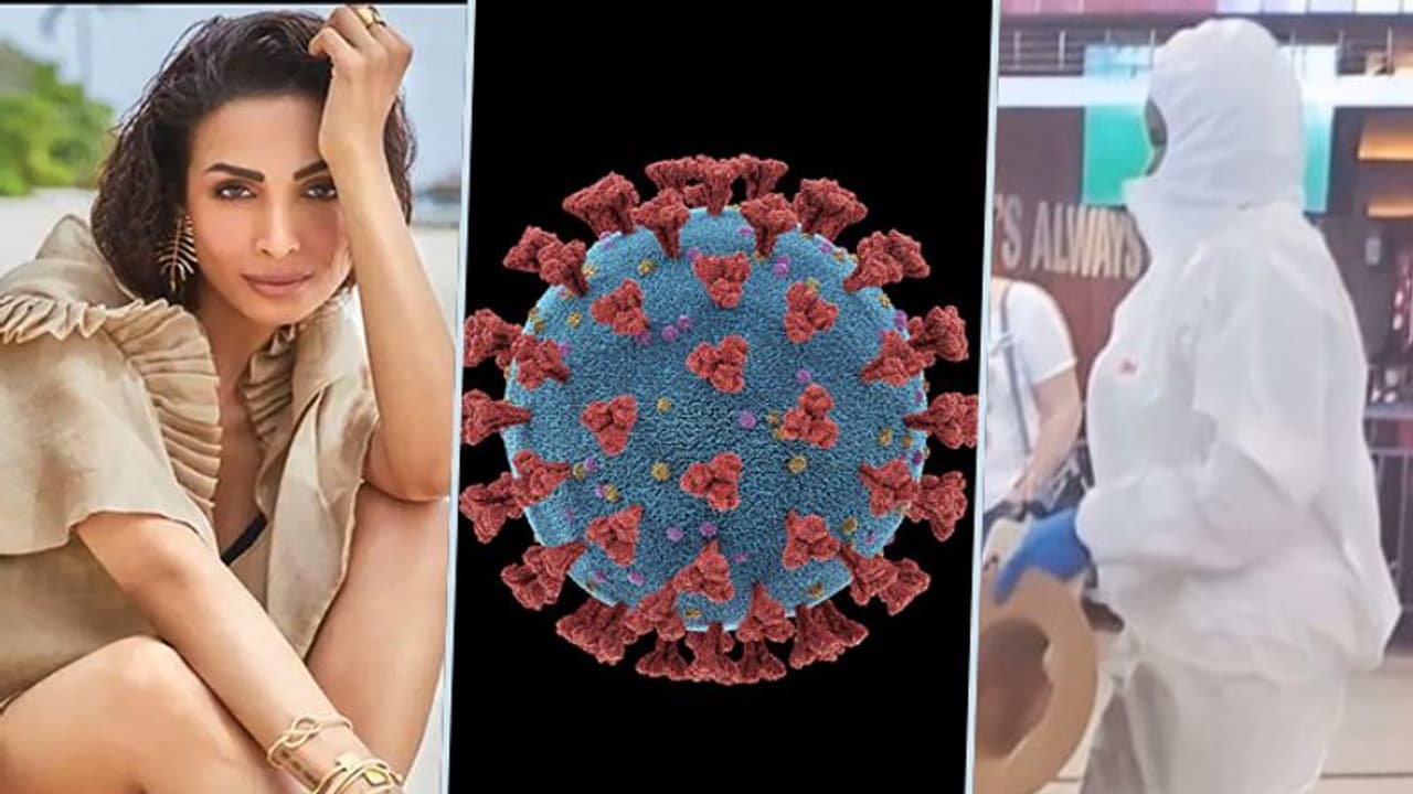 Coronavirus effect: Malaika Arora shows latest fashion trend post Covid 19 Coronavirus effect: Malaika Arora shows latest fashion trend post Covid 19