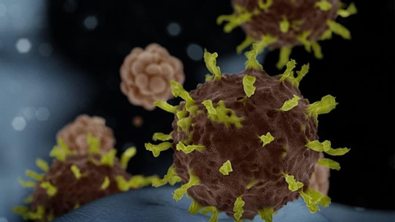 ಉಡುಪಿ ಜಿಲ್ಲಾಸ್ಪತ್ರೆಗೆ ದಾಖಲಾಗಿದ್ದ ಶಂಕಿತ ರೋಗಿಗೆ ಕೊರೋನಾ ಇಲ್ಲ ಉಡುಪಿ ಜಿಲ್ಲಾಸ್ಪತ್ರೆಗೆ ದಾಖಲಾಗಿದ್ದ ಶಂಕಿತ ರೋಗಿಗೆ ಕೊರೋನಾ ಇಲ್ಲ