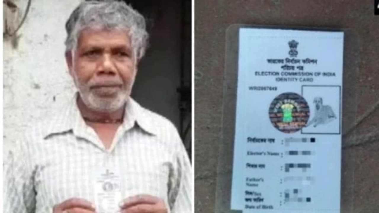 തെറ്റ് തിരുത്താൻ അപേക്ഷിച്ചു; തിരിച്ച് കിട്ടിയത് നായയുടെ ഫോട്ടോയുള്ള വോട്ടര് ഐഡി തെറ്റ് തിരുത്താൻ അപേക്ഷിച്ചു; തിരിച്ച് കിട്ടിയത് നായയുടെ ഫോട്ടോയുള്ള വോട്ടര് ഐഡി