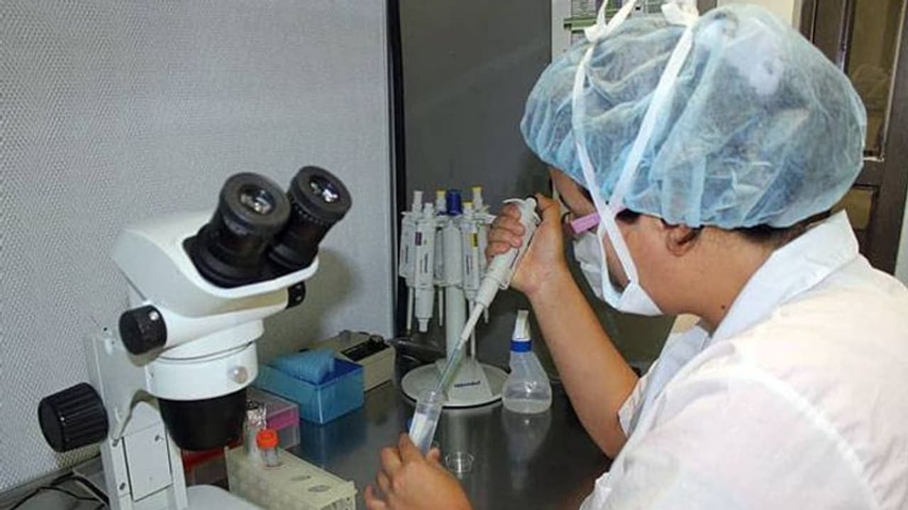 कोरोना वायरस के मद्देनजर सिक्किम में 4.06 लाख यात्रियों की जांच, संक्रमण का कोई मामला नहीं कोरोना वायरस के मद्देनजर सिक्किम में 4.06 लाख यात्रियों की जांच, संक्रमण का कोई मामला नहीं