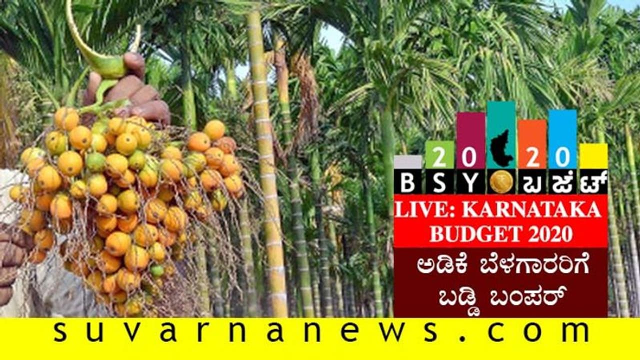 ಕರ್ನಾಟಕ ಬಜೆಟ್ 2020 : ಅಡಕೆ ಬೆಳೆಗಾರರಿಗೆ ಬಂಪರ್ ಕರ್ನಾಟಕ ಬಜೆಟ್ 2020 : ಅಡಕೆ ಬೆಳೆಗಾರರಿಗೆ ಬಂಪರ್