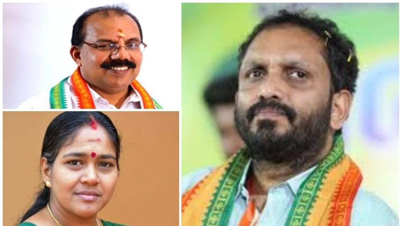 തമ്മിലടിയിൽ സമവായം; സുരേന്ദ്രൻ വിട്ടുവീഴ്ചക്ക്, എഎൻ രാധാകൃഷ്ണൻ കോര്‍കമ്മിറ്റിയിൽ