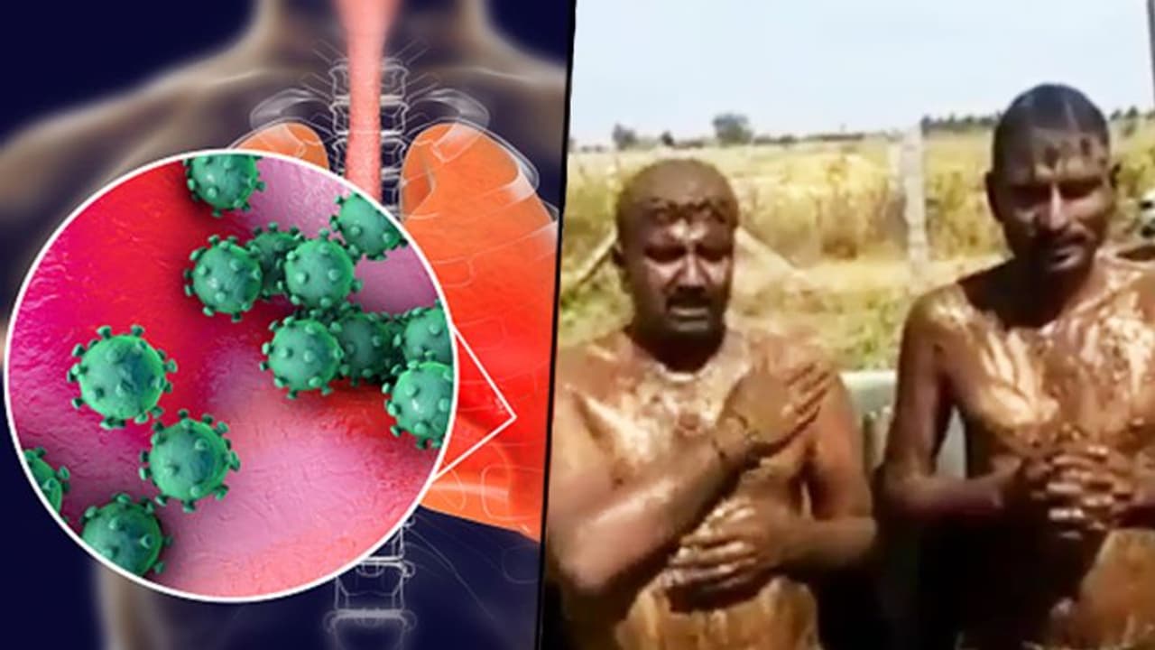 Coronavirus: Cow dung, urine bath leaves Karnataka duo feeling protected Coronavirus: Cow dung, urine bath leaves Karnataka duo feeling protected