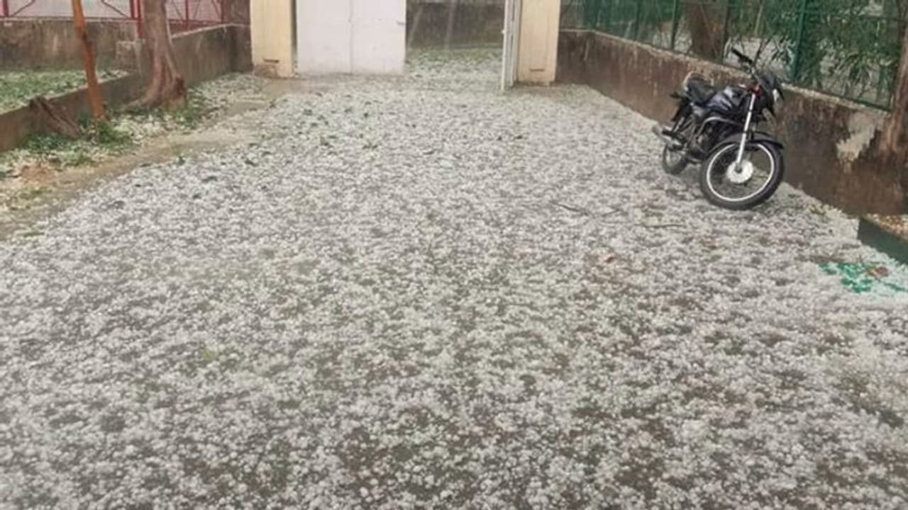 আচমকা বরফে সাদা হয়ে গেল লখনউ আগ্রার রাস্তা, এক বিকেলেই ব্যাপক ক্ষতি ফসলের