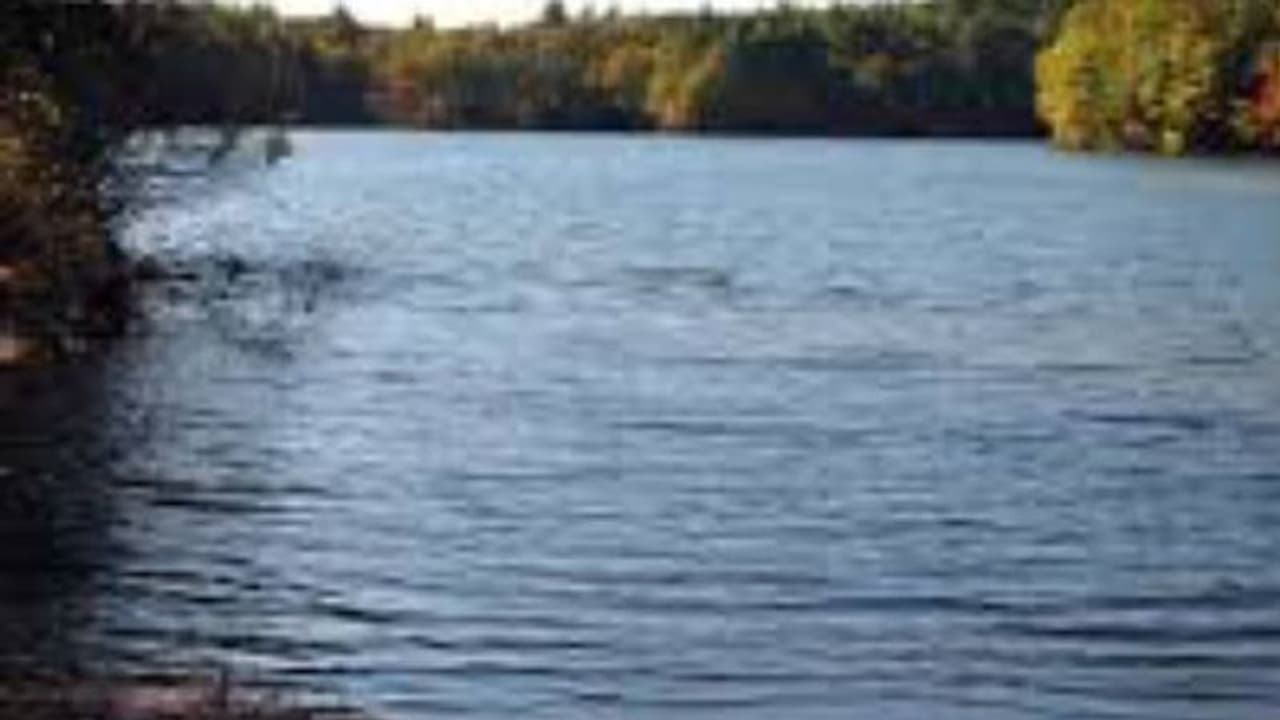 ആലപ്പുഴയില്‍ രണ്ട് വയസുകാരൻ തോട്ടില്‍ വീണ് മരിച്ചു