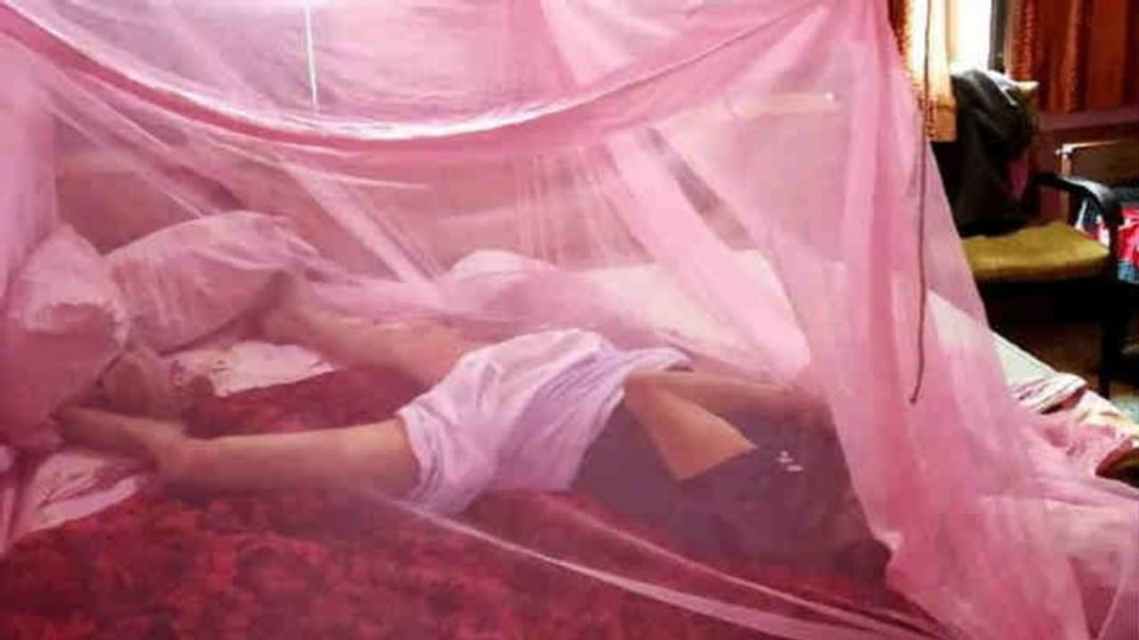 सीनियर वकील की लाश बेड पर, पानी के ड्रम में थी नौकरानी; खौफनाक डबल मर्डर से सनसनी सीनियर वकील की लाश बेड पर, पानी के ड्रम में थी नौकरानी; खौफनाक डबल मर्डर से सनसनी