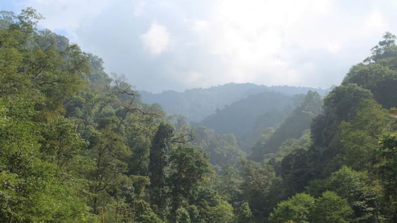 ঢেউ খেলানো প্রান্তর আর অবিন্যস্ত জঙ্গল, চলুন ব্রিটিশ কলোনি ম্যাকলাস্কিগঞ্জে ঢেউ খেলানো প্রান্তর আর অবিন্যস্ত জঙ্গল, চলুন ব্রিটিশ কলোনি ম্যাকলাস্কিগঞ্জে