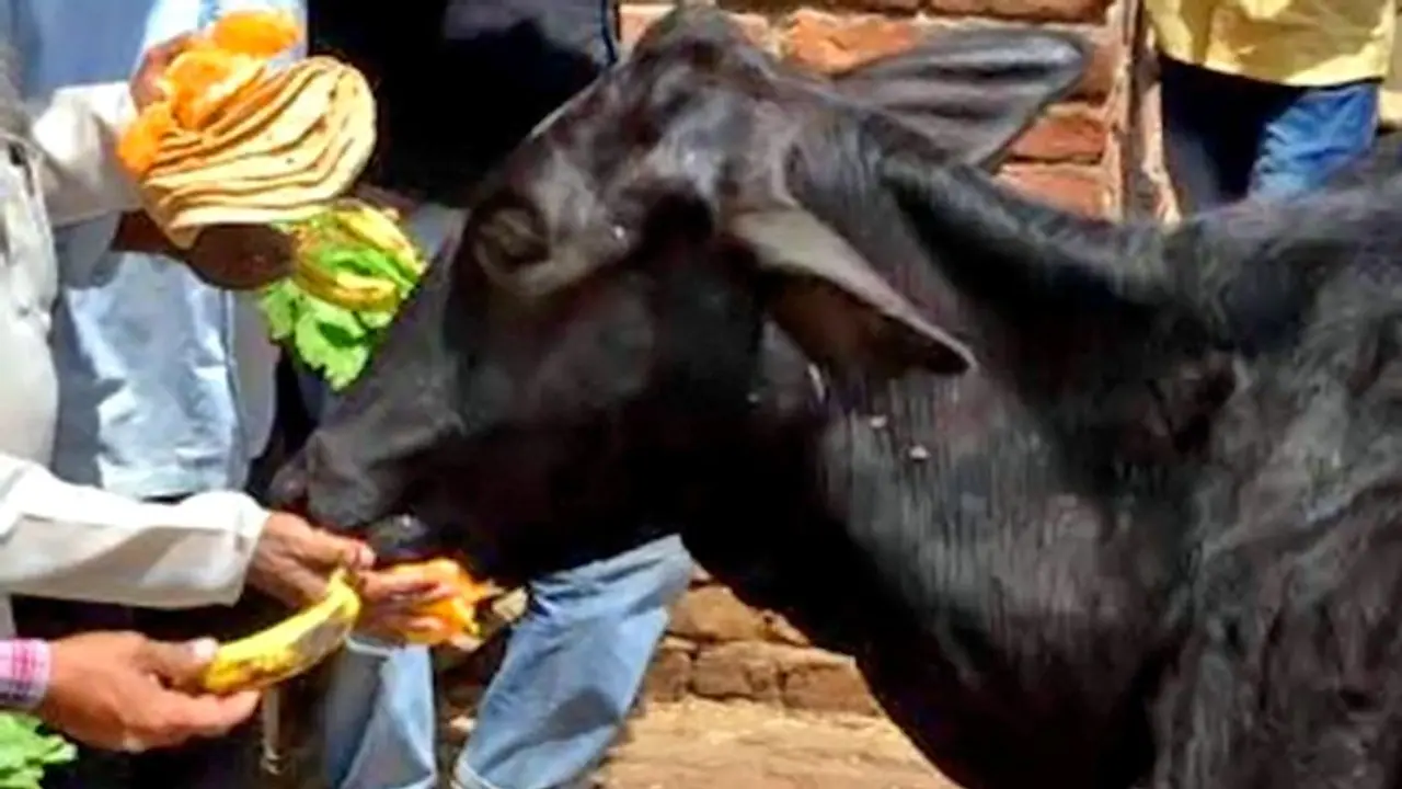 2020 का पहला शनि प्रदोष 7 मार्च को, शनि के अशुभ असर से बचने के लिए करें उपाय 2020 का पहला शनि प्रदोष 7 मार्च को, शनि के अशुभ असर से बचने के लिए करें उपाय