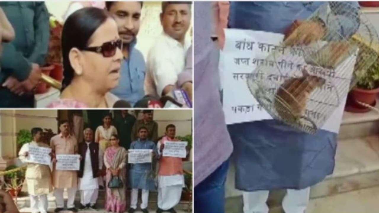 പ്രധാന ഫയലുകൾ തിന്നുതീർക്കുന്നെന്ന് സർക്കാർ; 'എലി'കളുമായി എംഎല്‍എമാര്‍ നിയമസഭയില്‍!