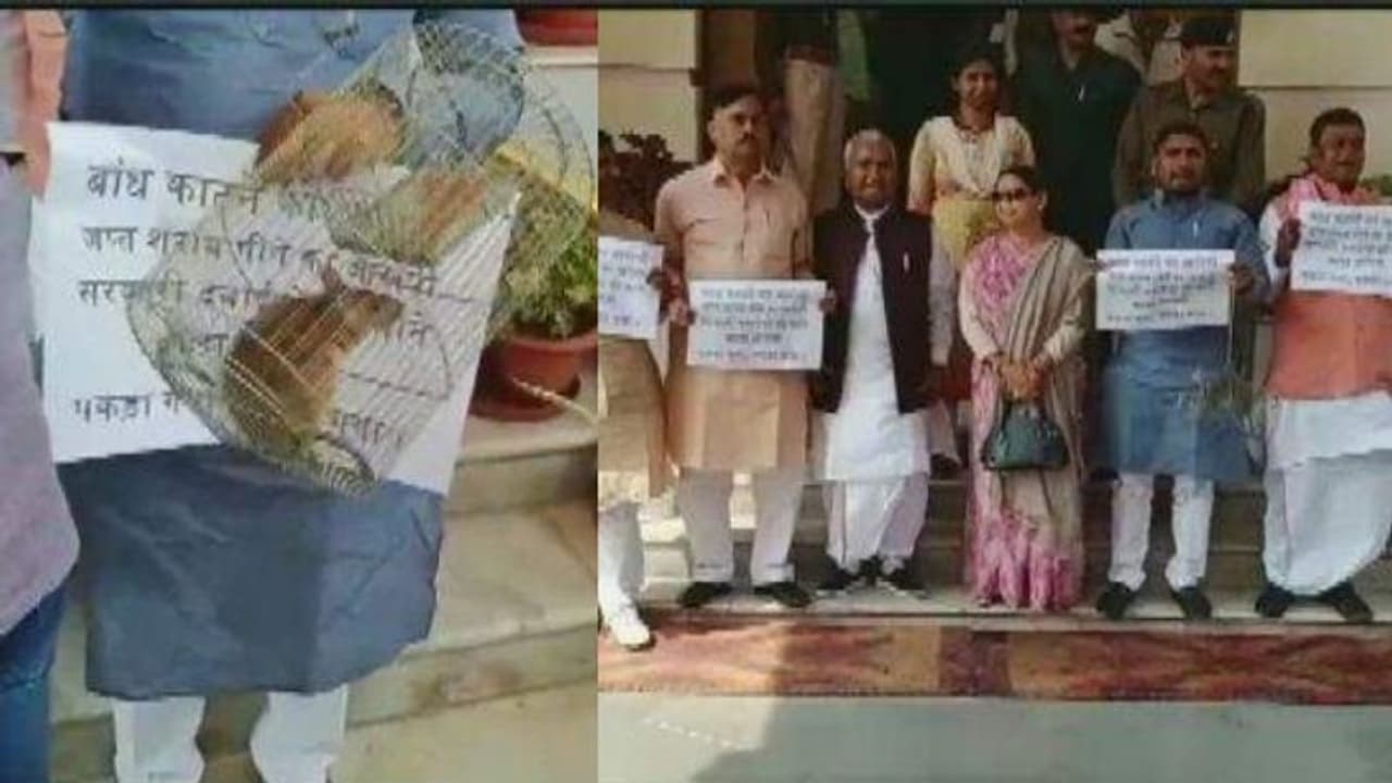 പ്രധാന ഫയലുകള് തിന്നുതീര്ക്കുന്നു; എംഎല്എമാര് നിയമസഭയില് എത്തിയത് എലിയുമായി! പ്രധാന ഫയലുകള് തിന്നുതീര്ക്കുന്നു; എംഎല്എമാര് നിയമസഭയില് എത്തിയത് എലിയുമായി!