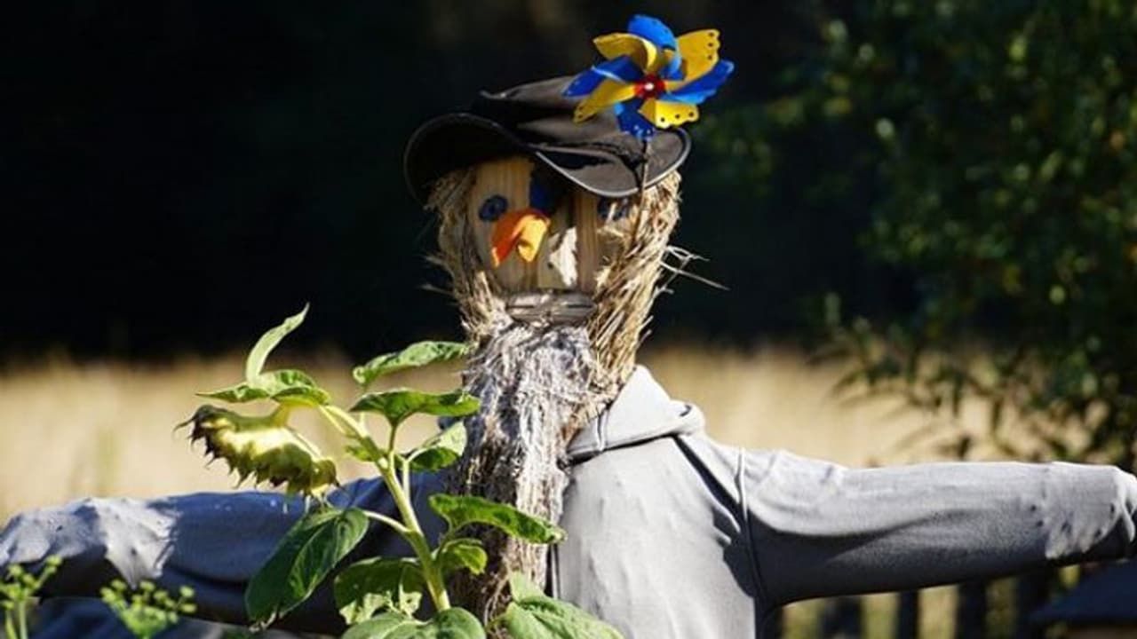 ഈ ​ഗ്രാമത്തിലെ പുരുഷന്മാർ രാത്രിയിൽ ഉറങ്ങുന്നത് സ്ത്രീ വേഷം ധരിച്ച്, കാരണം എന്താണെന്ന് അറിയേണ്ടേ...?