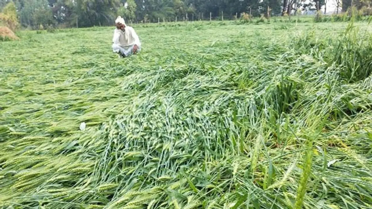 ಕೊರೋನಾ ಕಾಟಕ್ಕೆ ಸುಸ್ತಾದ ಅನ್ನದಾತ: ಇನ್ನೂ ಮುಗಿಯದ ರೈತರ ಗೋಳು!