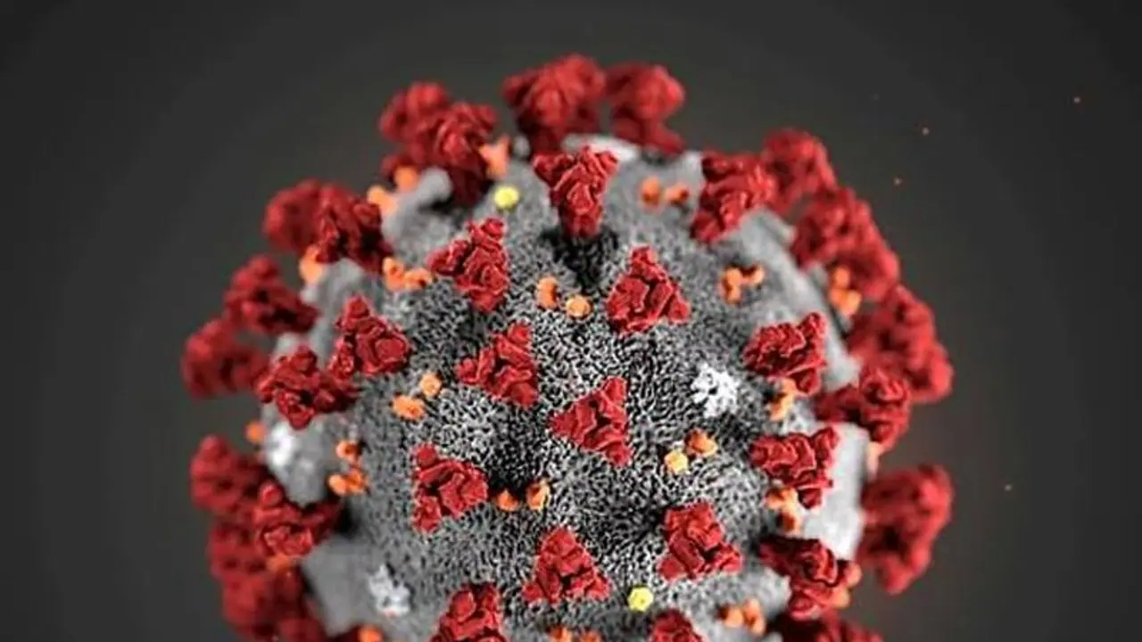 Fact Check: ಚೀನಾದಲ್ಲಿ ಸತ್ತ ಮನುಷ್ಯರನ್ನೇ ಕತ್ತರಿಸಿ ಬೀಫ್ ಎಂದು ಮಾರಾಟ! Fact Check: ಚೀನಾದಲ್ಲಿ ಸತ್ತ ಮನುಷ್ಯರನ್ನೇ ಕತ್ತರಿಸಿ ಬೀಫ್ ಎಂದು ಮಾರಾಟ!