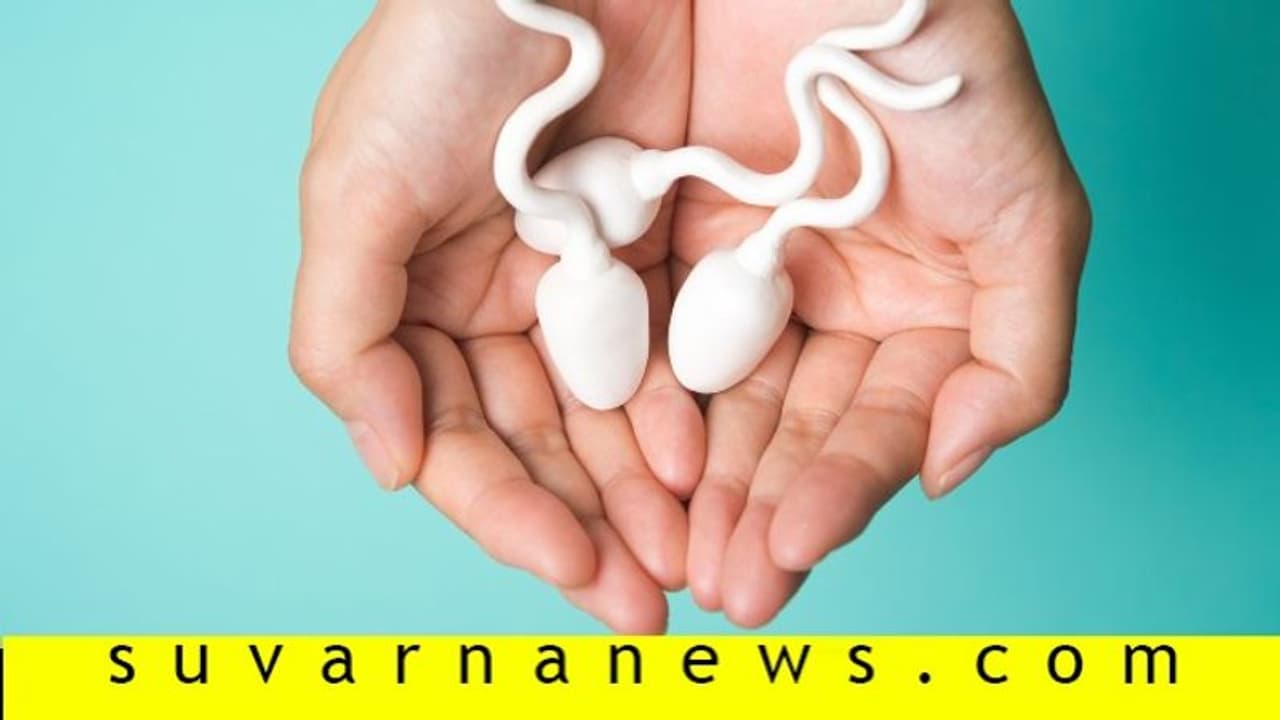 ನೀವೂ ವೀರ್ಯ ದಾನ ಮಾಡಬಹುದಾ? ನೀವೂ ವೀರ್ಯ ದಾನ ಮಾಡಬಹುದಾ?