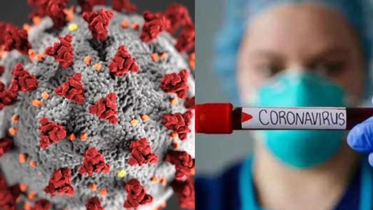 വീണ്ടും കൊവിഡ് 19 ഭീതി; രോഗത്തെ എങ്ങനെ തിരിച്ചറിയാം? വീണ്ടും കൊവിഡ് 19 ഭീതി; രോഗത്തെ എങ്ങനെ തിരിച്ചറിയാം?