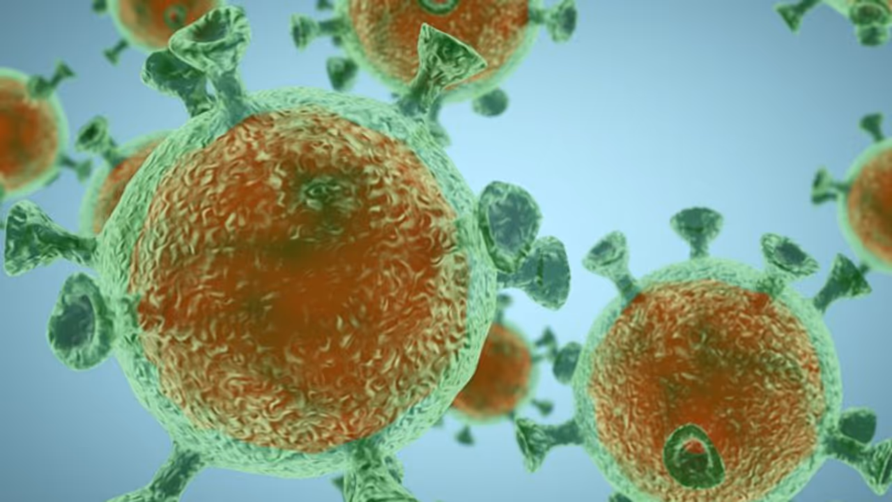 ആശങ്കയുയർത്തി കൊവിഡ് 19 : എടുക്കേണ്ട മുൻകരുതലുകൾ ആശങ്കയുയർത്തി കൊവിഡ് 19 : എടുക്കേണ്ട മുൻകരുതലുകൾ