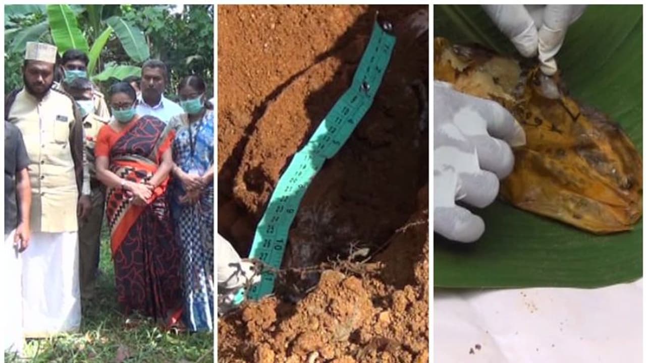 കുഞ്ഞിനെ കൊന്ന് കുഴിച്ചുമൂടിയെന്ന് സംശയം; പള്ളിശ്മശാനത്തിലെ കുഴിമാന്തിയപ്പോള് വെള്ളരിക്ക!! കുഞ്ഞിനെ കൊന്ന് കുഴിച്ചുമൂടിയെന്ന് സംശയം; പള്ളിശ്മശാനത്തിലെ കുഴിമാന്തിയപ്പോള് വെള്ളരിക്ക!!