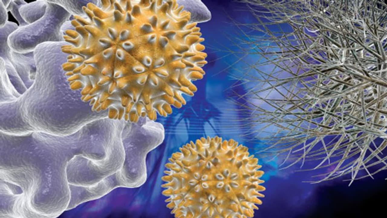 ಕೊರೋನಾ ವೈರಸ್‌ಗೆ ಹುಟ್ಟು ಚೀನಾ ಆದರೆ ಸಾವು ಯಾದಗಿರಿಯಲ್ಲಿ!