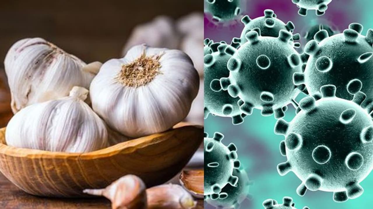 കൊവിഡ് 19; വെളുത്തുള്ളിയും ചൂടുവെള്ളവും വെെറസിനെ ഇല്ലാതാക്കുമെന്നത് മണ്ടത്തരം; ലോകാരോഗ്യ സംഘടന രംഗത്ത് കൊവിഡ് 19; വെളുത്തുള്ളിയും ചൂടുവെള്ളവും വെെറസിനെ ഇല്ലാതാക്കുമെന്നത് മണ്ടത്തരം; ലോകാരോഗ്യ സംഘടന രംഗത്ത്