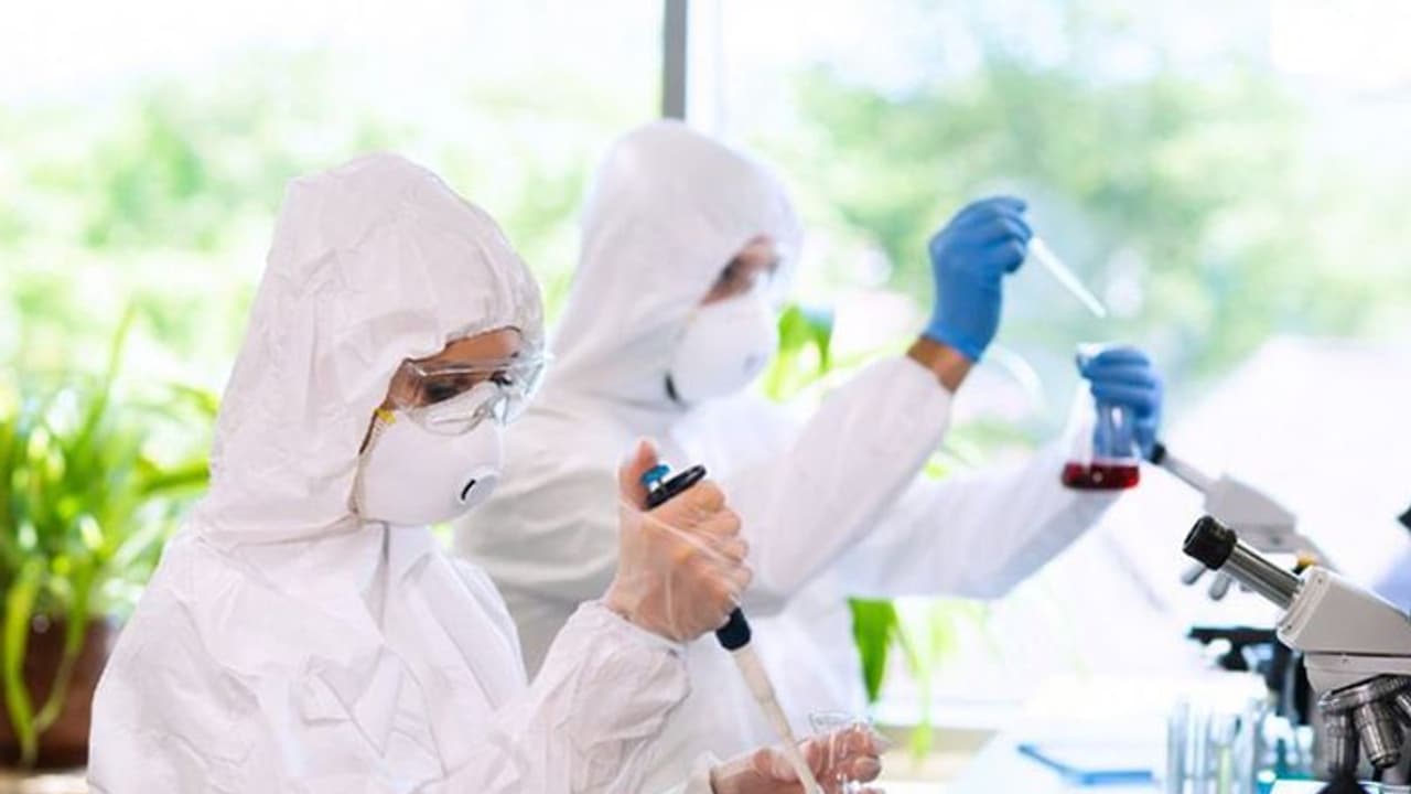 ಹಾಸನದಲ್ಲಿ ಕೊರೋನಾ ವೈರಸ್ ಪತ್ತೆ ಕೇಂದ್ರ ಹಾಸನದಲ್ಲಿ ಕೊರೋನಾ ವೈರಸ್ ಪತ್ತೆ ಕೇಂದ್ರ