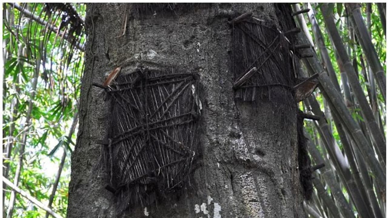 മരിച്ചാലും അടക്കില്ല, വെള്ളവും ഭക്ഷണവും നല്കും, സംസാരിക്കും; വിചിത്രമായ ചില ആചാരങ്ങള് സൂക്ഷിക്കുന്ന സമൂഹം മരിച്ചാലും അടക്കില്ല, വെള്ളവും ഭക്ഷണവും നല്കും, സംസാരിക്കും; വിചിത്രമായ ചില ആചാരങ്ങള് സൂക്ഷിക്കുന്ന സമൂഹം