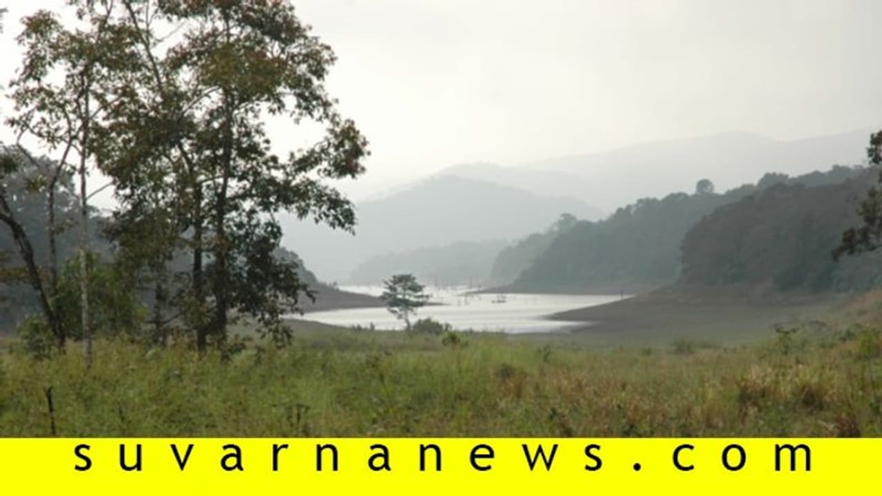 ಕಳ್ಳರ ಕೈಗೆ ಗನ್ನು ಕೊಟ್ಟಿತೇಕೆ ಅರಣ್ಯ ಇಲಾಖೆ?