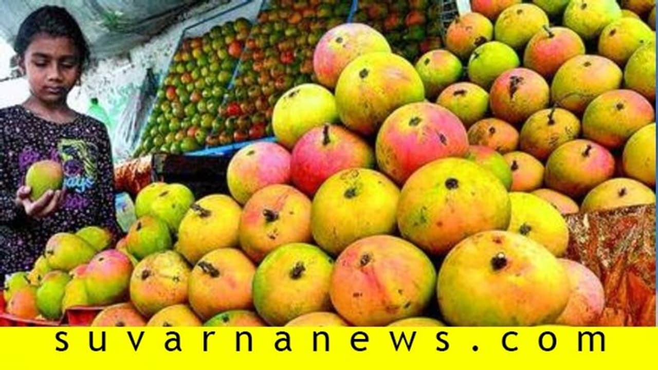 1 ಡಜನ್ ಆಲ್ಫಾನ್ಸೋ ಮಾವಿನ ದರ 1 ಸಾವಿರ ರೂ.: ಹೌಹಾರಿದ ಗ್ರಾಹಕ! 1 ಡಜನ್ ಆಲ್ಫಾನ್ಸೋ ಮಾವಿನ ದರ 1 ಸಾವಿರ ರೂ.: ಹೌಹಾರಿದ ಗ್ರಾಹಕ!