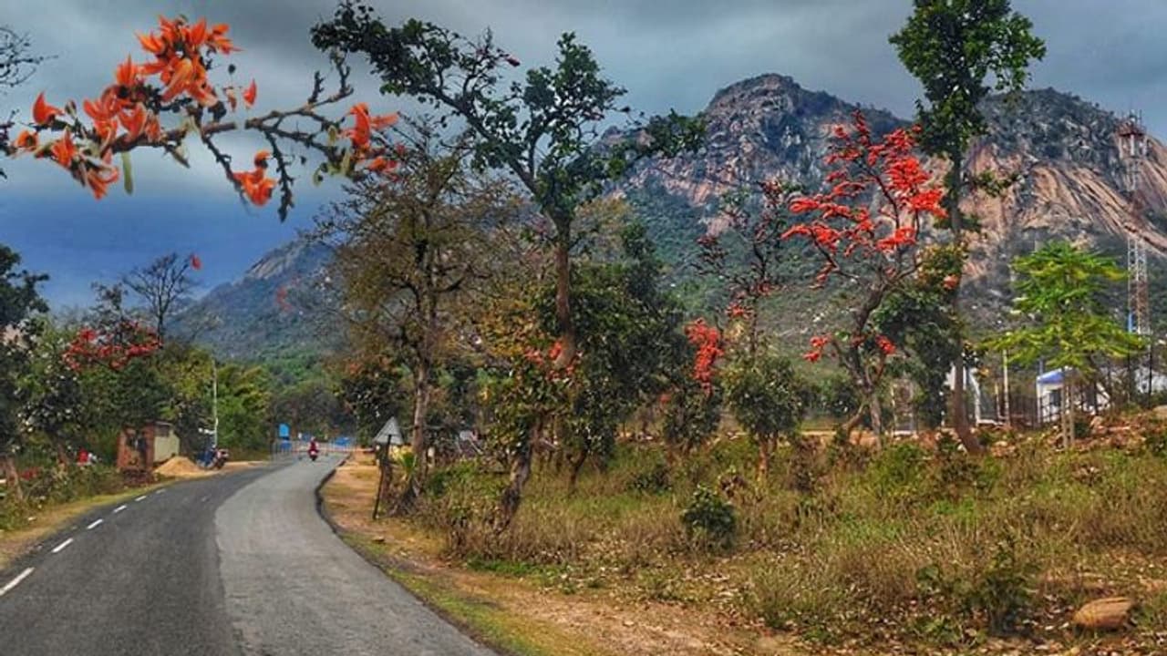 রাঙামাটির দেশের মেয়ে কলকাতার গায়ে আবির মাখিয়ে দিয়ে বলল, "আবার এসো কিন্তু" রাঙামাটির দেশের মেয়ে কলকাতার গায়ে আবির মাখিয়ে দিয়ে বলল, "আবার এসো কিন্তু"