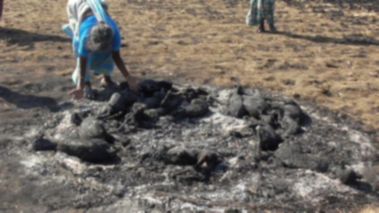 மளமளவென எரிந்த தீயில் கருகிய 25 ஆடுகள்..! கண்ணீர்விட்டு கதறிய உரிமையாளர்..! மளமளவென எரிந்த தீயில் கருகிய 25 ஆடுகள்..! கண்ணீர்விட்டு கதறிய உரிமையாளர்..!