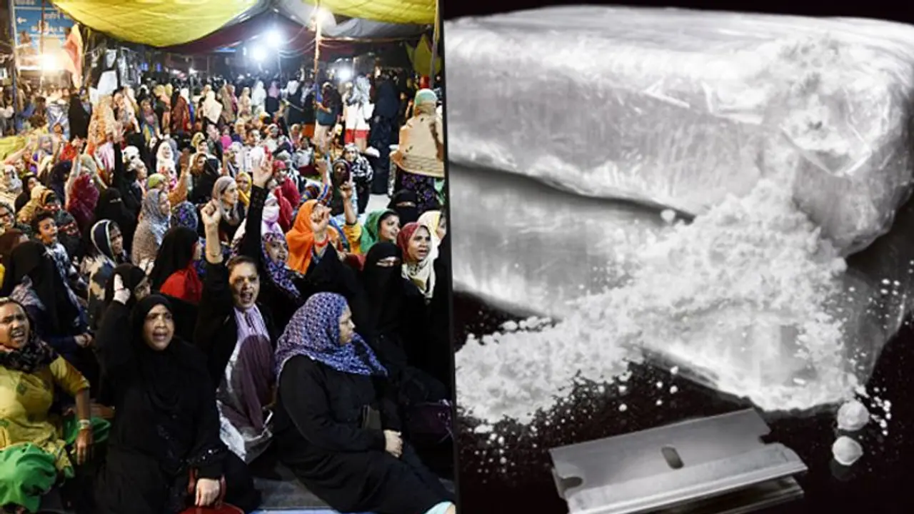 When ‘Mother of Satan’ nearly entered the Shaheen Bagh protests