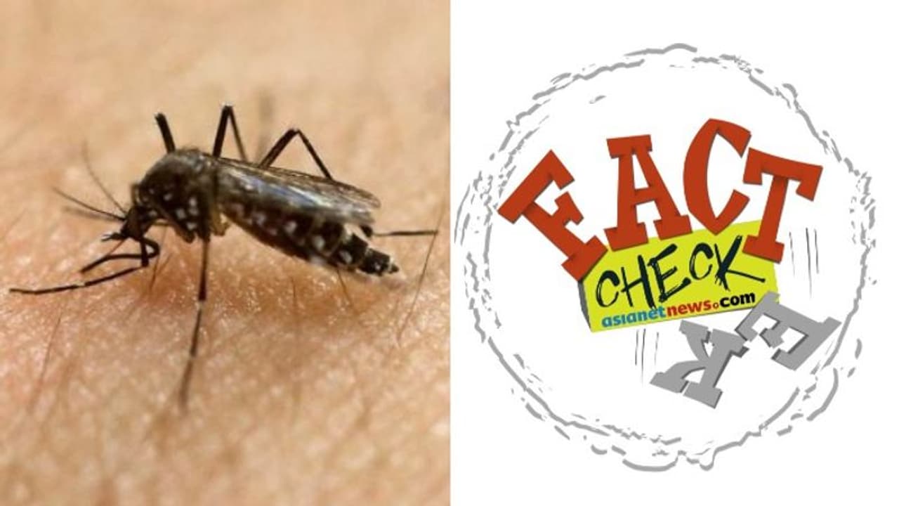 കൊവിഡ് 19 കൊതുകിലൂടെ പകരുമോ; ലോകാരോഗ്യസംഘടന പറയുന്നത് കൊവിഡ് 19 കൊതുകിലൂടെ പകരുമോ; ലോകാരോഗ്യസംഘടന പറയുന്നത്