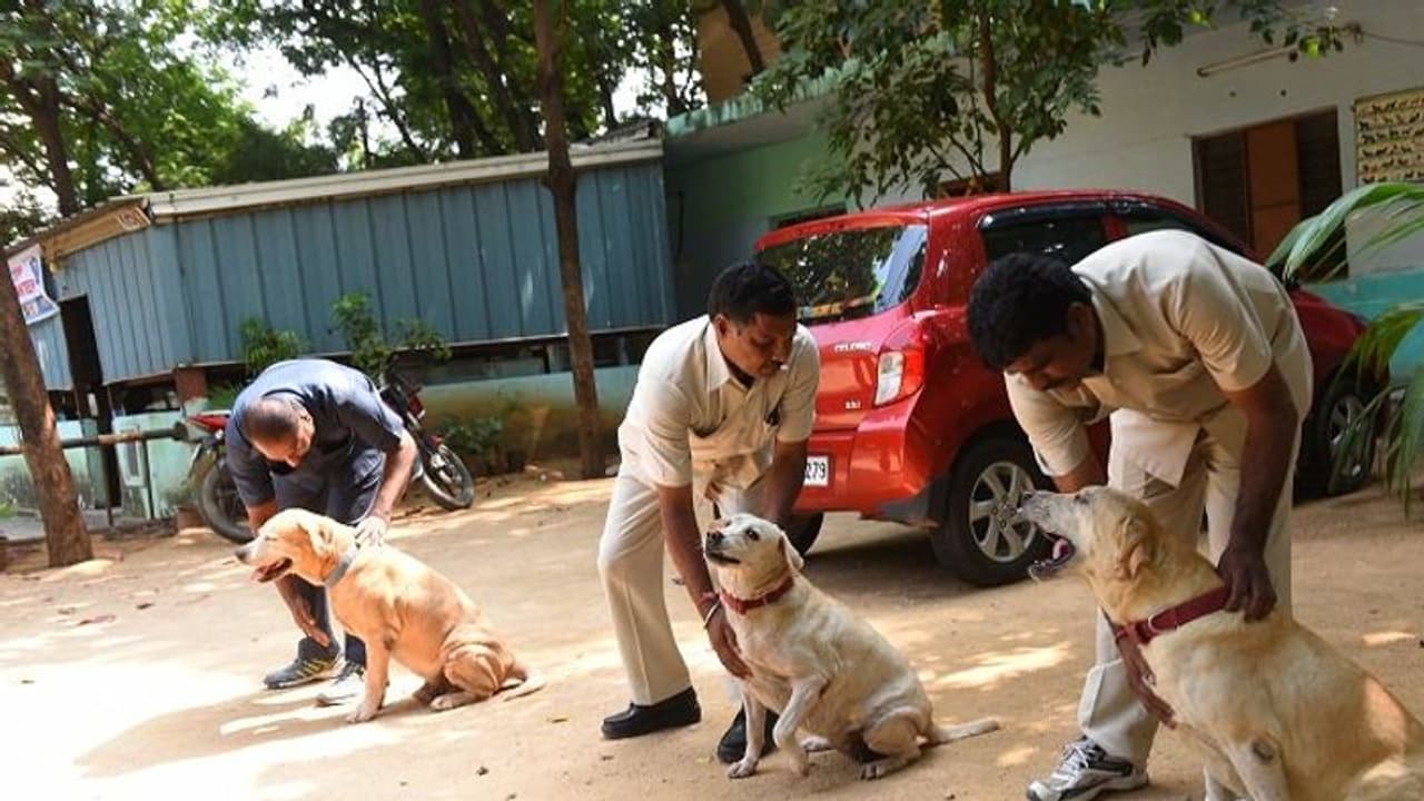 నాచారం డీపీఎస్ స్కూల్కు బాంబు బెదిరింపు, పోలీసుల తనిఖీలు నాచారం డీపీఎస్ స్కూల్కు బాంబు బెదిరింపు, పోలీసుల తనిఖీలు